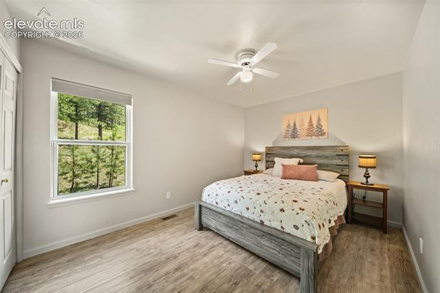 MLS Image for 114  Lakewood  ,Woodland Park, Colorado
