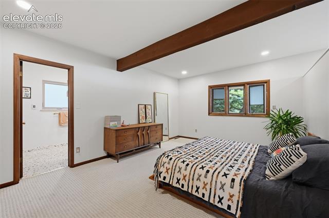 MLS Image for 2705  Andromeda  ,Colorado Springs, Colorado