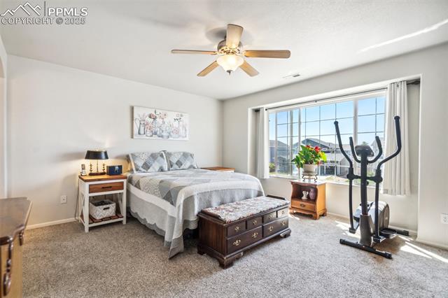 MLS Image for 12783  Pine Valley  ,Peyton, Colorado