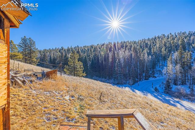 MLS Image for 69  Snowberry Creek  ,Florissant, Colorado
