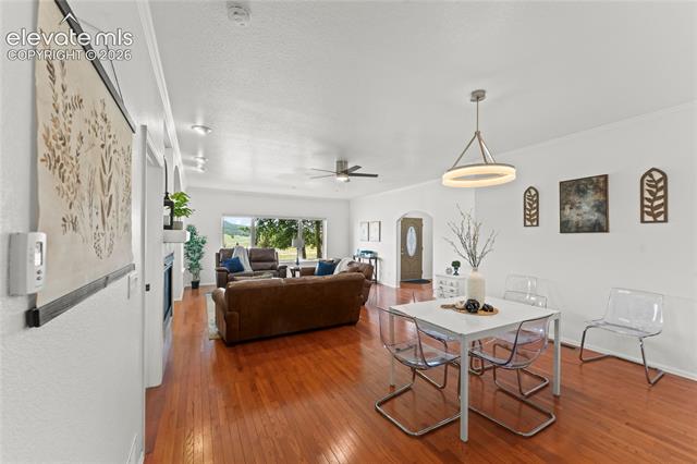 MLS Image for 106  Joshua  ,Divide, Colorado