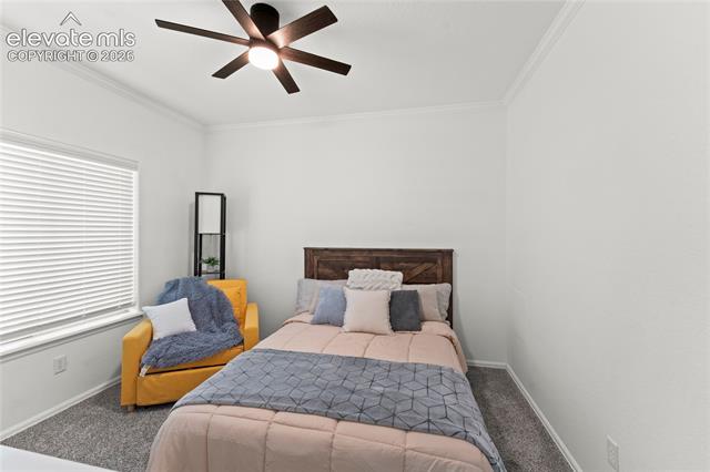 MLS Image for 106  Joshua  ,Divide, Colorado