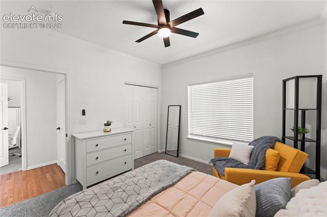 MLS Image for 106  Joshua  ,Divide, Colorado