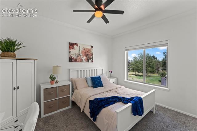 MLS Image for 106  Joshua  ,Divide, Colorado