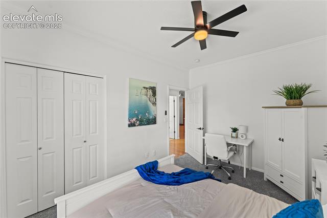 MLS Image for 106  Joshua  ,Divide, Colorado
