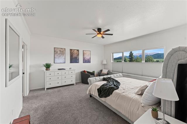 MLS Image for 106  Joshua  ,Divide, Colorado