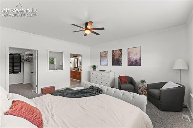 MLS Image for 106  Joshua  ,Divide, Colorado
