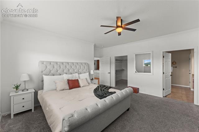 MLS Image for 106  Joshua  ,Divide, Colorado