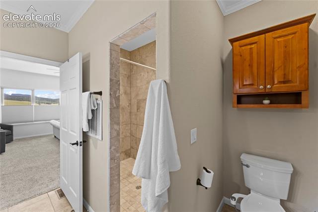 MLS Image for 106  Joshua  ,Divide, Colorado
