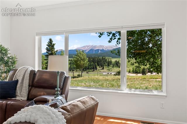 MLS Image for 106  Joshua  ,Divide, Colorado