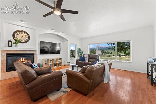 MLS Image for 106  Joshua  ,Divide, Colorado