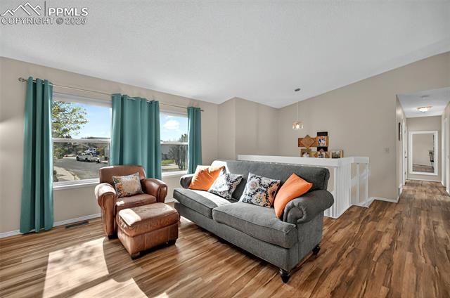 MLS Image for 6930  Nettlewood  ,Colorado Springs, Colorado