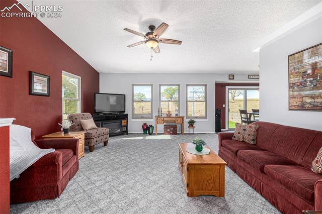 MLS Image for 6740  Weeping Willow  ,Colorado Springs, Colorado