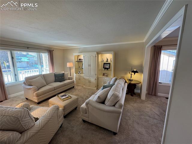 MLS Image for 3019  Oro Blanco  ,Colorado Springs, Colorado