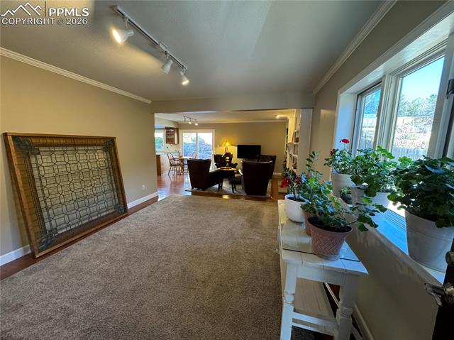 MLS Image for 3019  Oro Blanco  ,Colorado Springs, Colorado