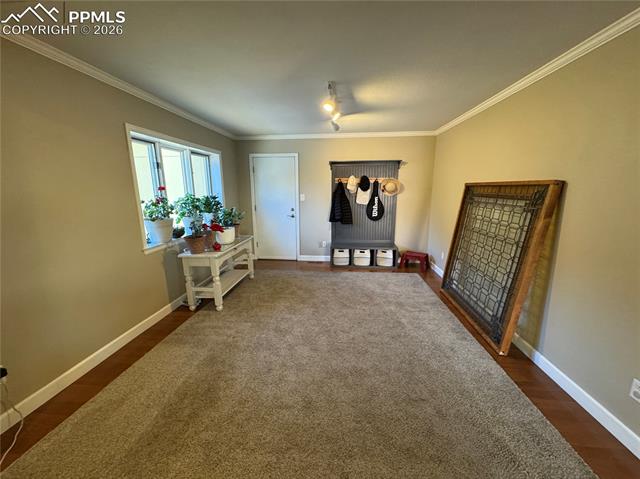 MLS Image for 3019  Oro Blanco  ,Colorado Springs, Colorado