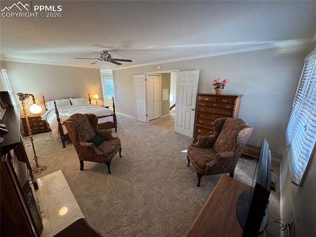 MLS Image for 3019  Oro Blanco  ,Colorado Springs, Colorado