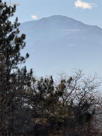 MLS Image for 3019  Oro Blanco  ,Colorado Springs, Colorado