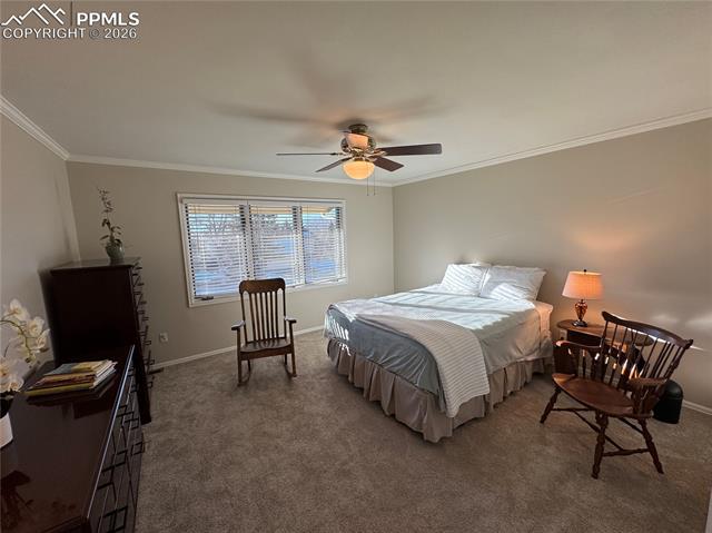 MLS Image for 3019  Oro Blanco  ,Colorado Springs, Colorado