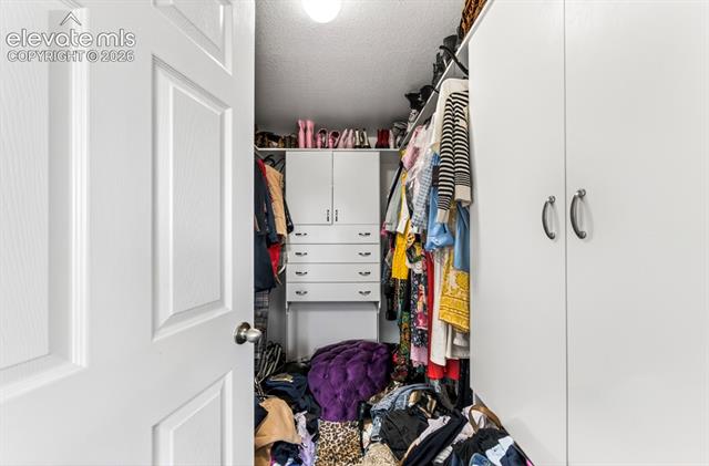 MLS Image for 6390  Tranters Creek  ,Colorado Springs, Colorado