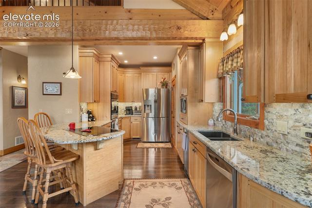 MLS Image for 567  County Road 31  ,Florissant, Colorado