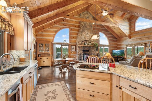 MLS Image for 567  County Road 31  ,Florissant, Colorado