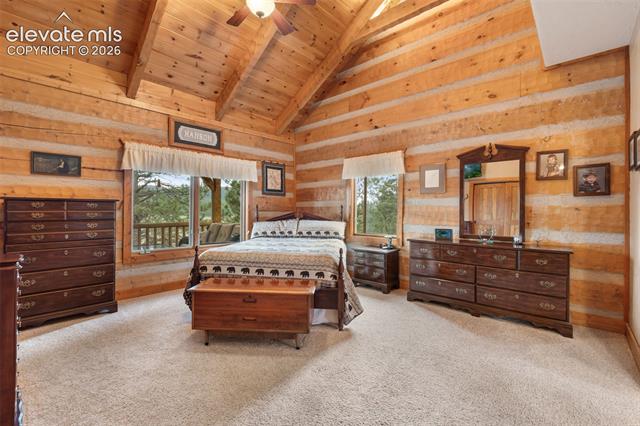MLS Image for 567  County Road 31  ,Florissant, Colorado