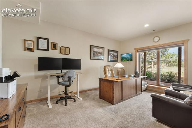 MLS Image for 567  County Road 31  ,Florissant, Colorado