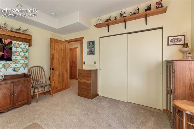 MLS Image for 567  County Road 31  ,Florissant, Colorado