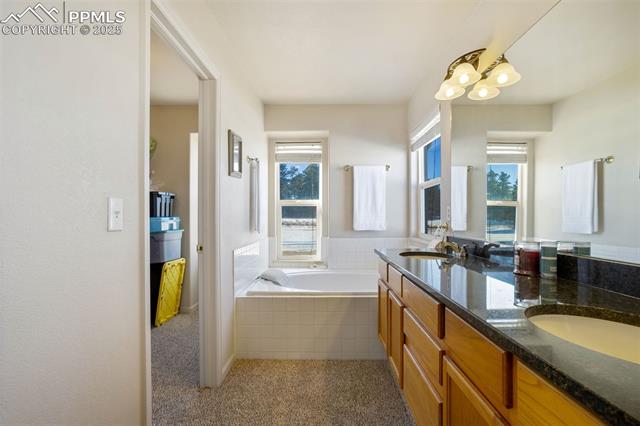 MLS Image for 17950  Cumbres  ,Peyton, Colorado