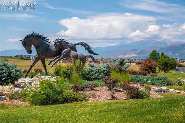 MLS Image for 13901  Penfold  ,Colorado Springs, Colorado