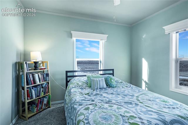 MLS Image for 11055  Milne  ,Colorado Springs, Colorado
