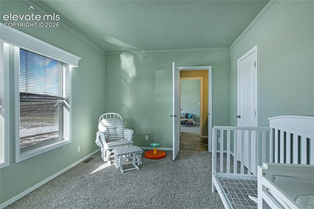 MLS Image for 11055  Milne  ,Colorado Springs, Colorado