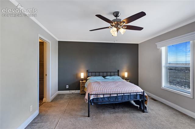 MLS Image for 11055  Milne  ,Colorado Springs, Colorado