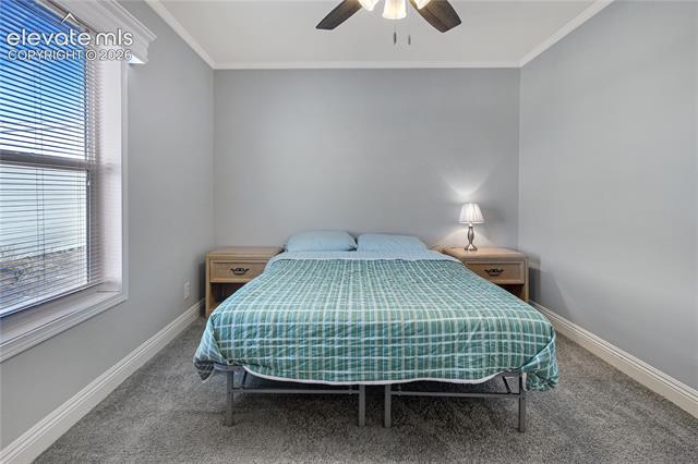 MLS Image for 11055  Milne  ,Colorado Springs, Colorado