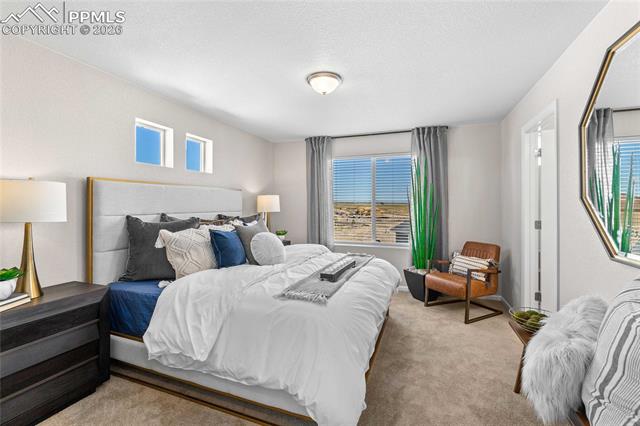 MLS Image for 5651  Bowerman  ,Colorado Springs, Colorado