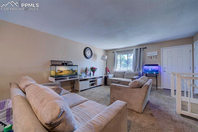 MLS Image for 842 S Circle  ,Colorado Springs, Colorado