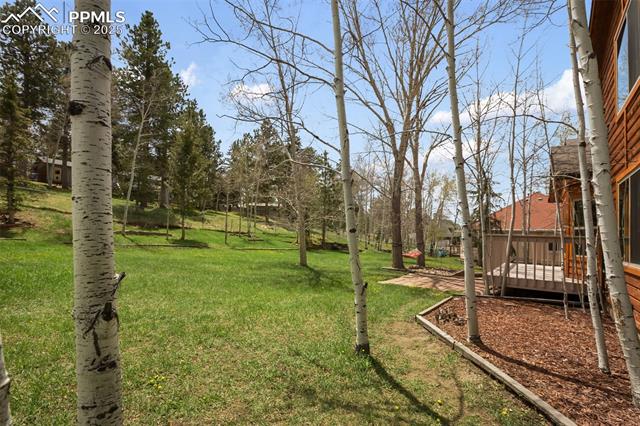 MLS Image for 1955  Valley View  ,Woodland Park, Colorado