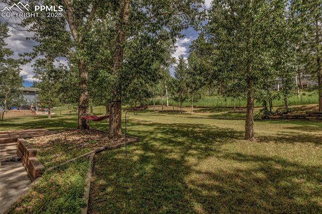 MLS Image for 1955  Valley View  ,Woodland Park, Colorado