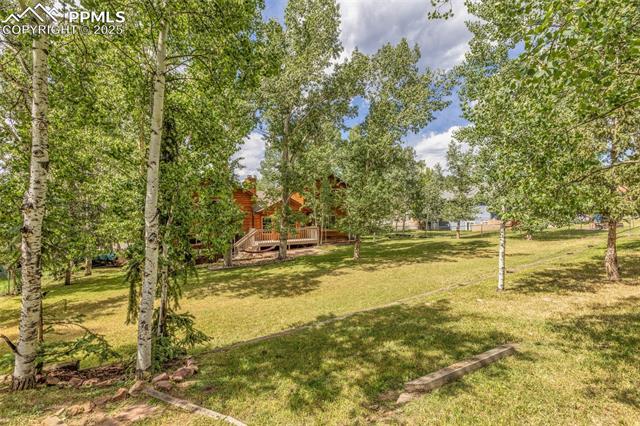 MLS Image for 1955  Valley View  ,Woodland Park, Colorado