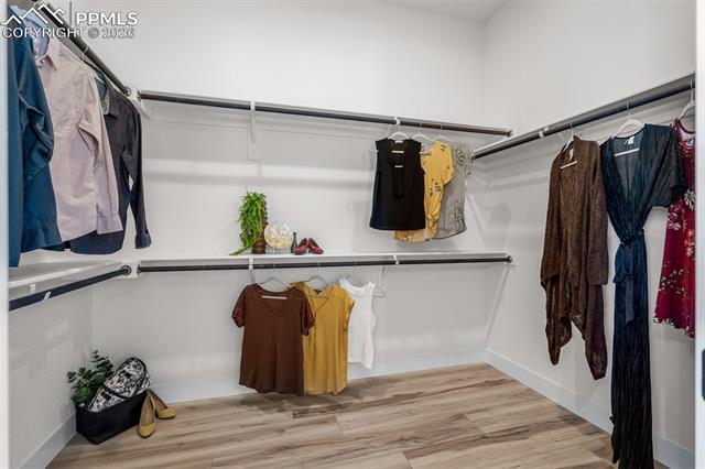 MLS Image for 6538  Arabesque  ,Colorado Springs, Colorado