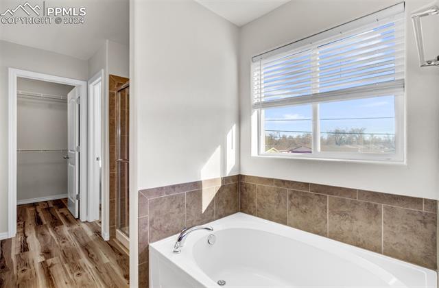 MLS Image for 4033  Silver Star  ,Colorado Springs, Colorado