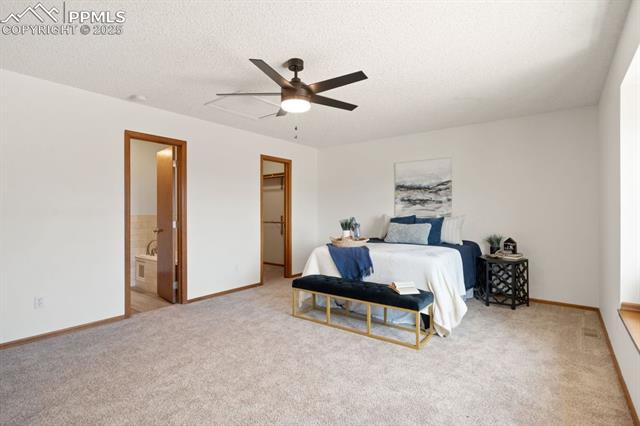 MLS Image for 8350  Candleflower  ,Colorado Springs, Colorado