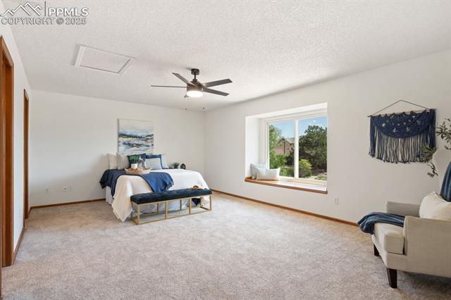 MLS Image for 8350  Candleflower  ,Colorado Springs, Colorado
