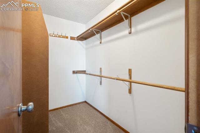 MLS Image for 8350  Candleflower  ,Colorado Springs, Colorado