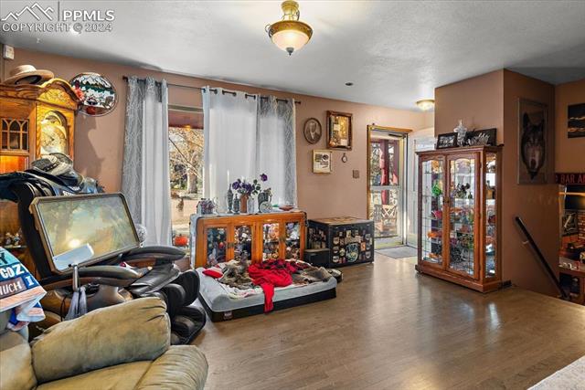 MLS Image for 1317  Wynkoop  ,Colorado Springs, Colorado