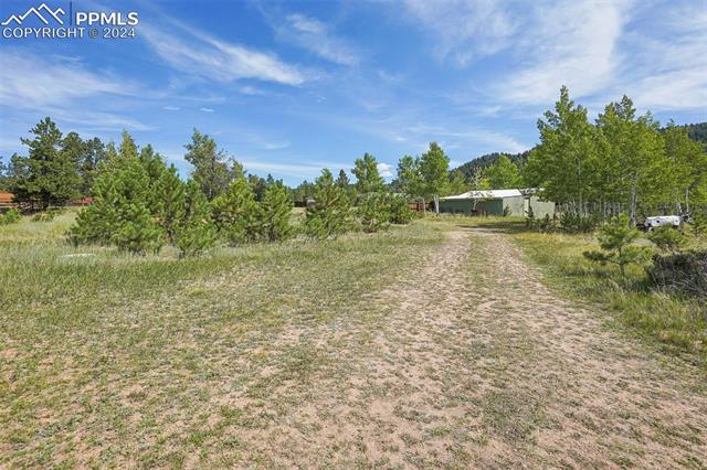 MLS Image for 2120  Lee Circle  ,Woodland Park, Colorado