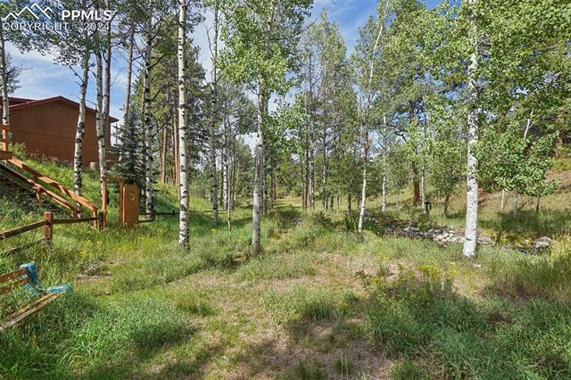 MLS Image for 2120  Lee Circle  ,Woodland Park, Colorado