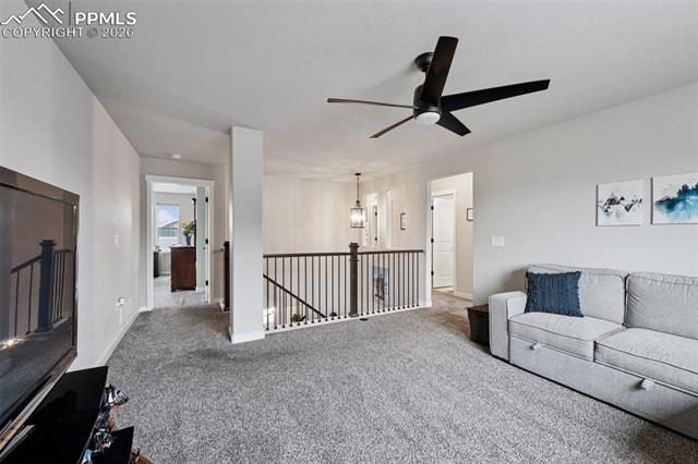 MLS Image for 9887  Antelope Ravine  ,Colorado Springs, Colorado