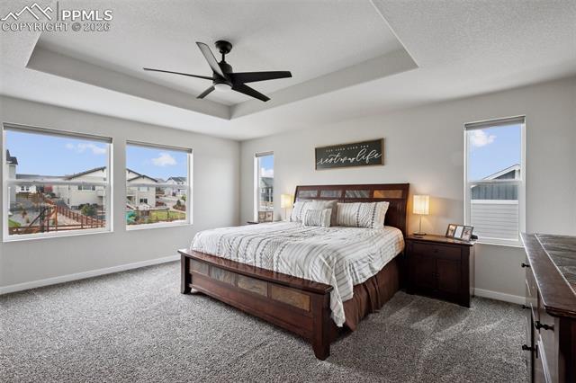 MLS Image for 9887  Antelope Ravine  ,Colorado Springs, Colorado